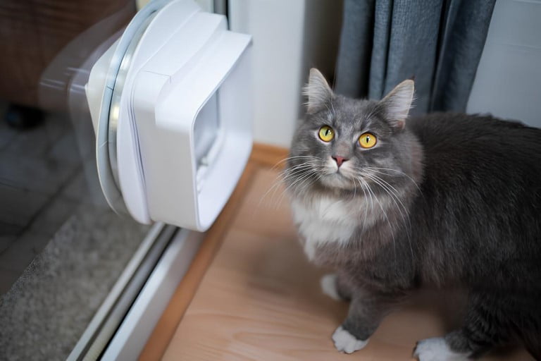 Chatière à puce RFID